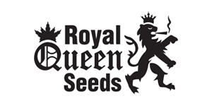 Royal Queen Seeds